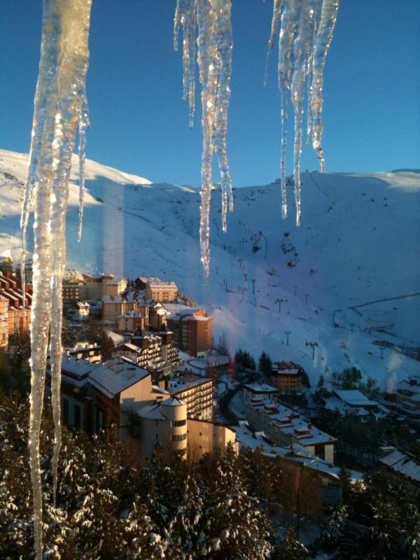 Reino Nevado 3*